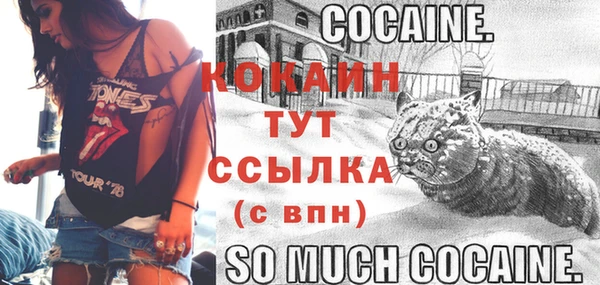 крисы Снежинск