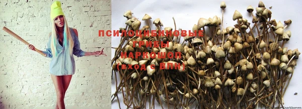 mix Сосновый Бор