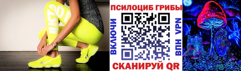 Купить где  Ухта  Псилоцибиновые грибы Psilocybe 